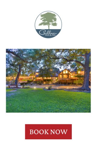 TRIBEZA Holiday Gift Guide 2025