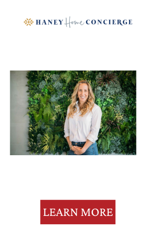 TRIBEZA Holiday Gift Guide 2025 2