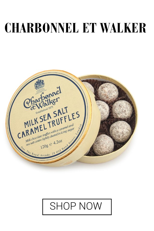 PaperCity Gift Guide 2025