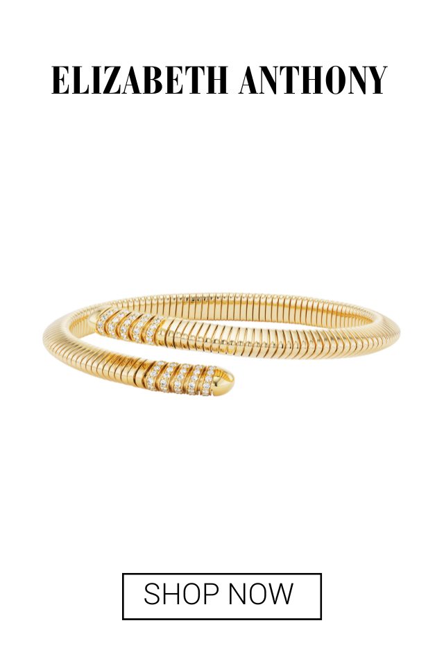 PaperCity Gift Guide 2025