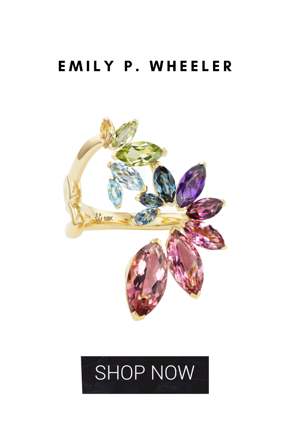 Elizabeth Anthony Card Deck 1 November 2025