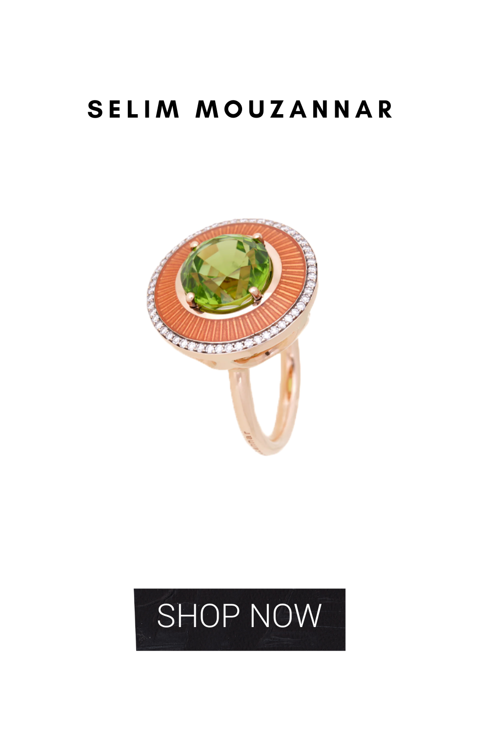 Elizabeth Anthony Card Deck 1 November 2025