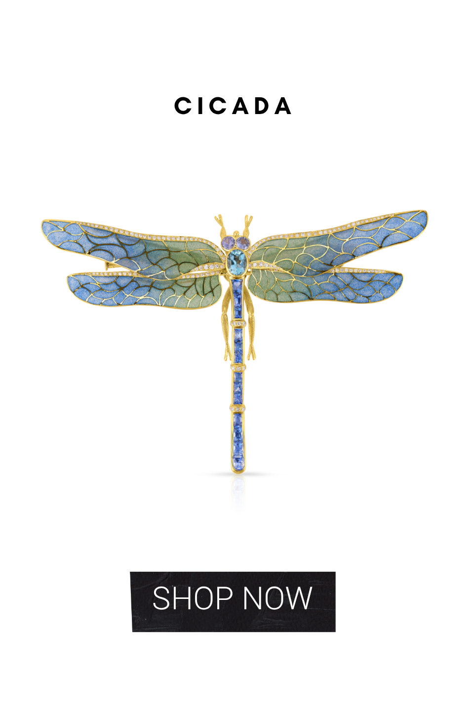 Elizabeth Anthony Card Deck 1 April 2026